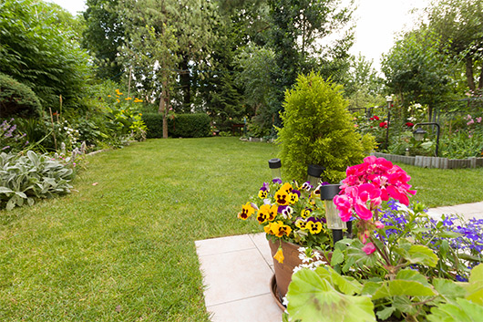 Dentystyka - gabinet z ogrodem